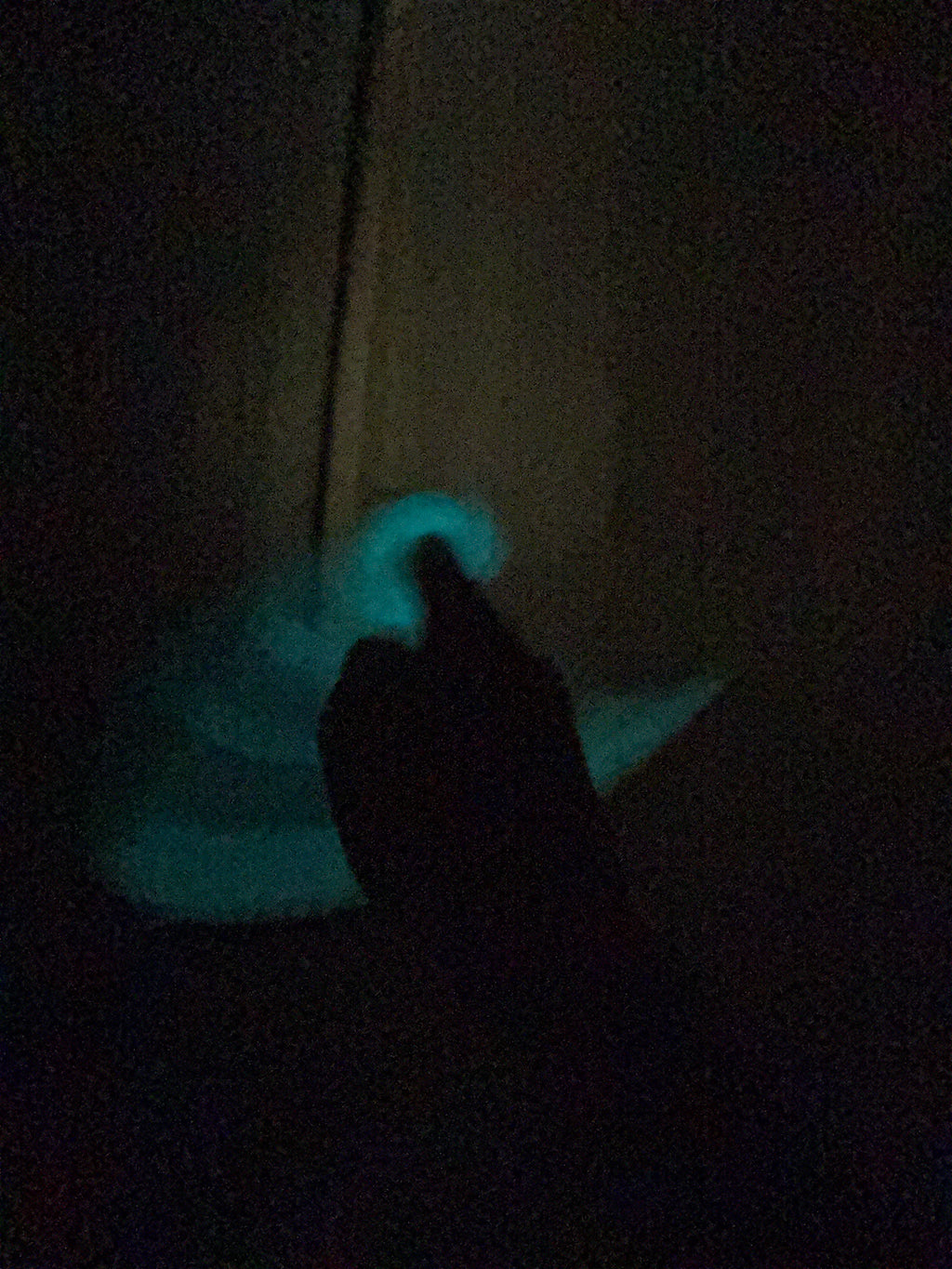 Glow in the dark 3d printed karambit