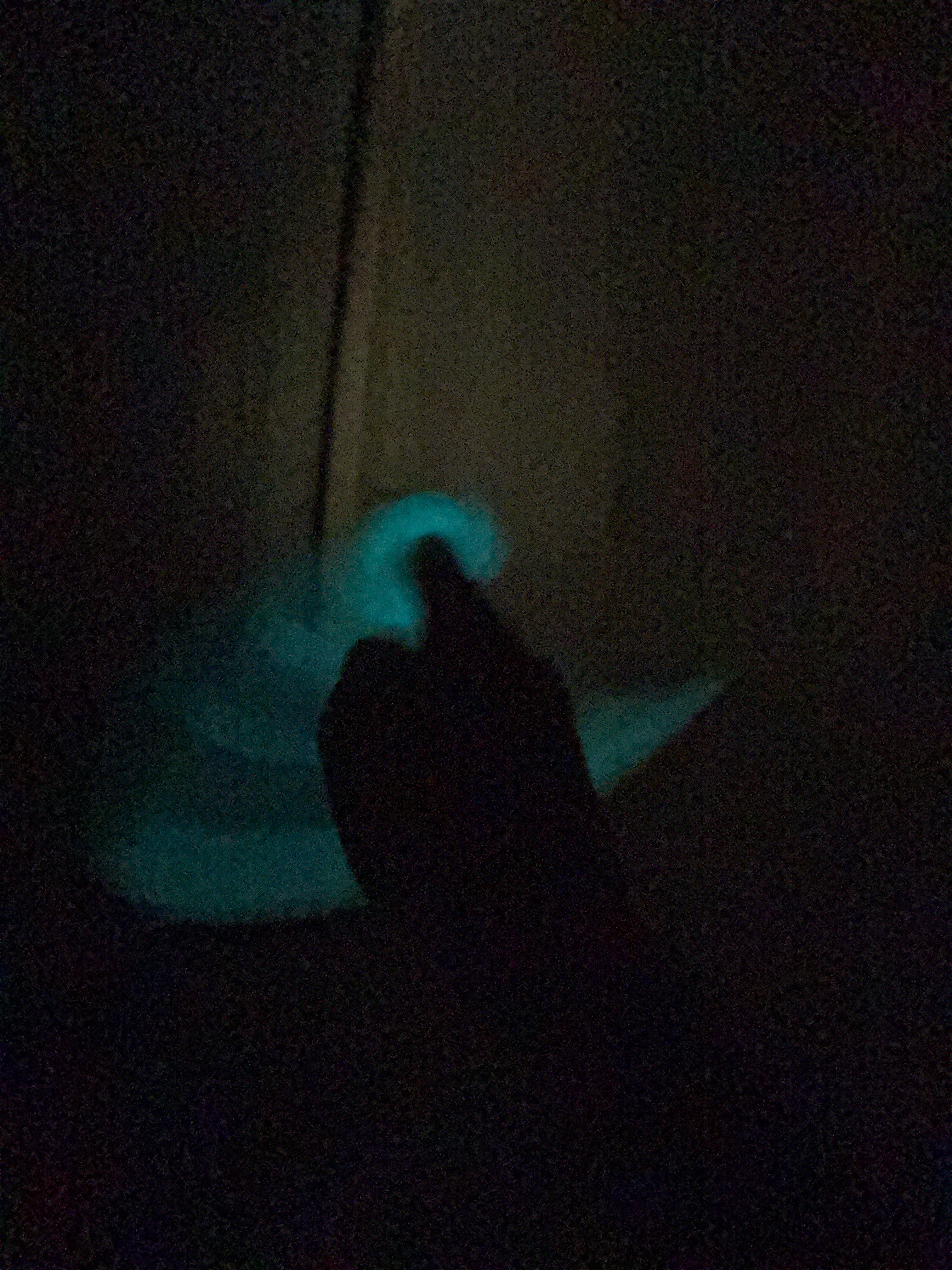 Glow in the dark 3d printed karambit